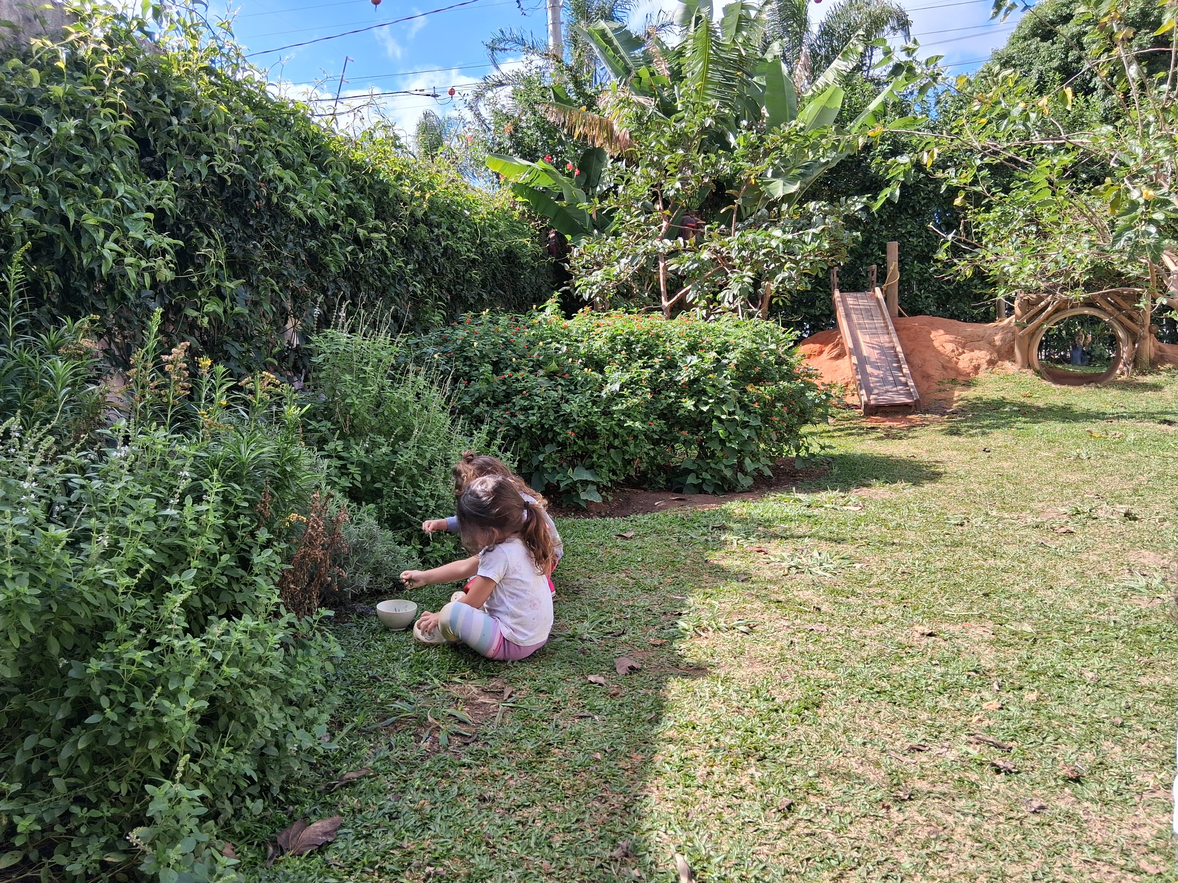 Contato com a Natureza